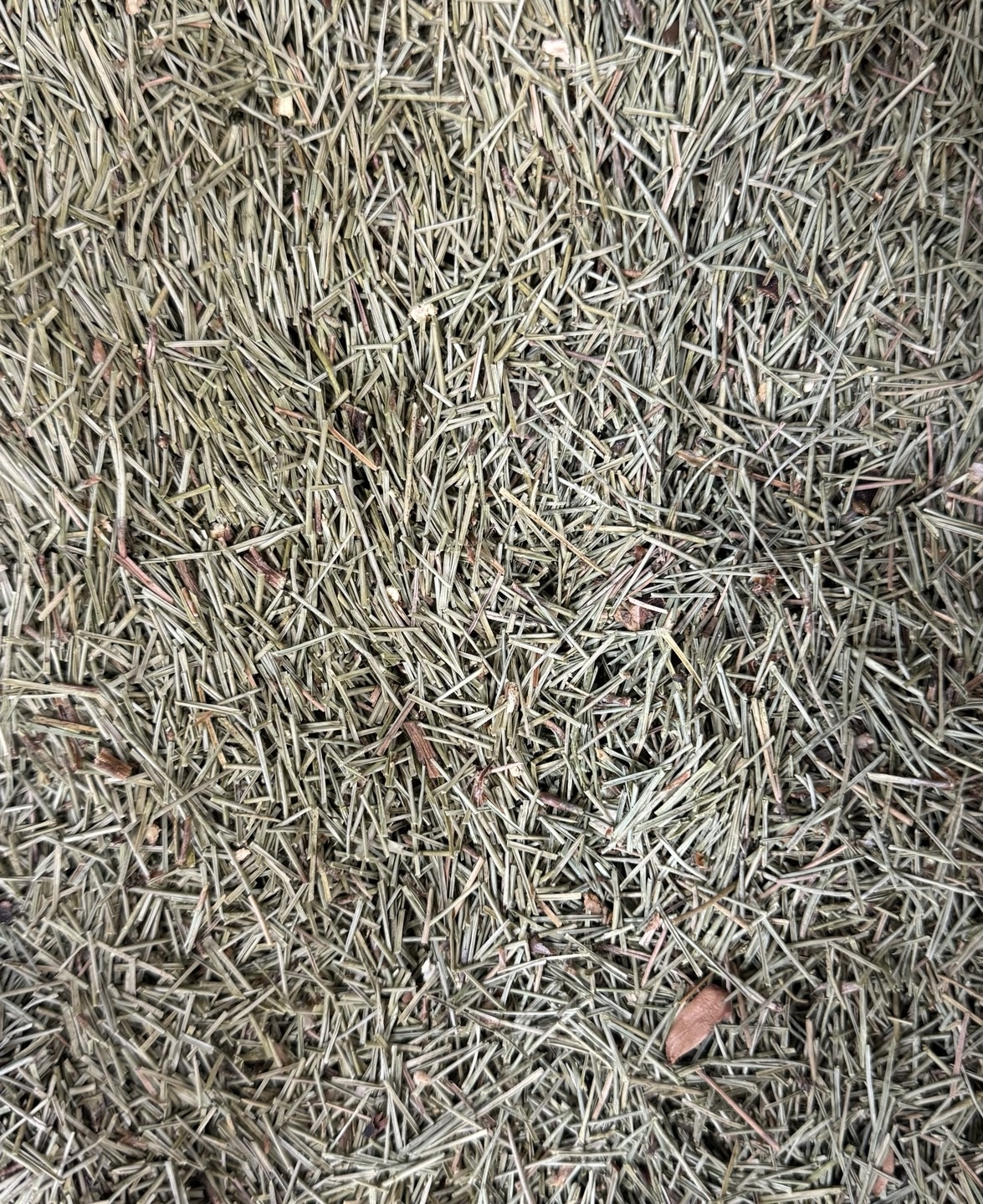 썸네일 3